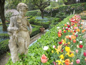 Springtime at the Villa I Tatti